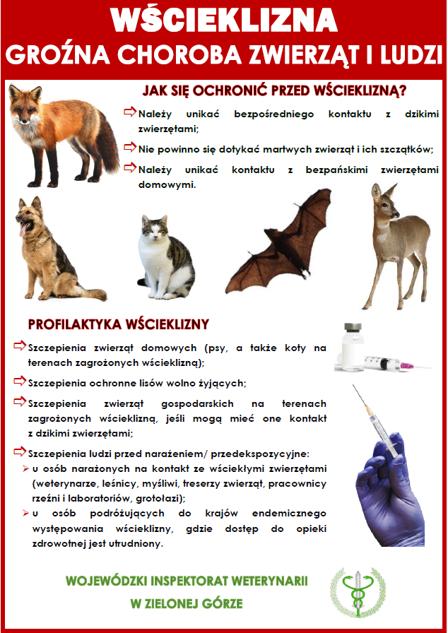 Profilaktyka wścieklizny